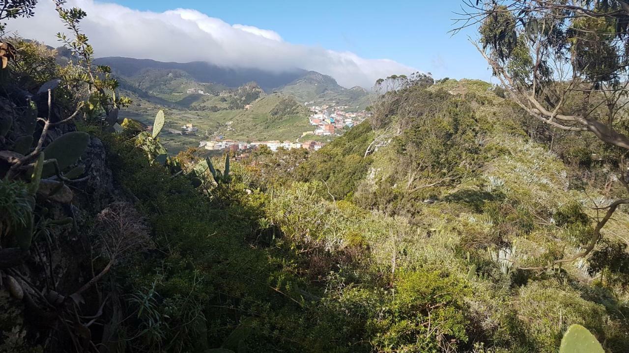 La Casita De Omar En El Corazon De Anaga Y La Laguna Las Mercedes Eksteriør billede