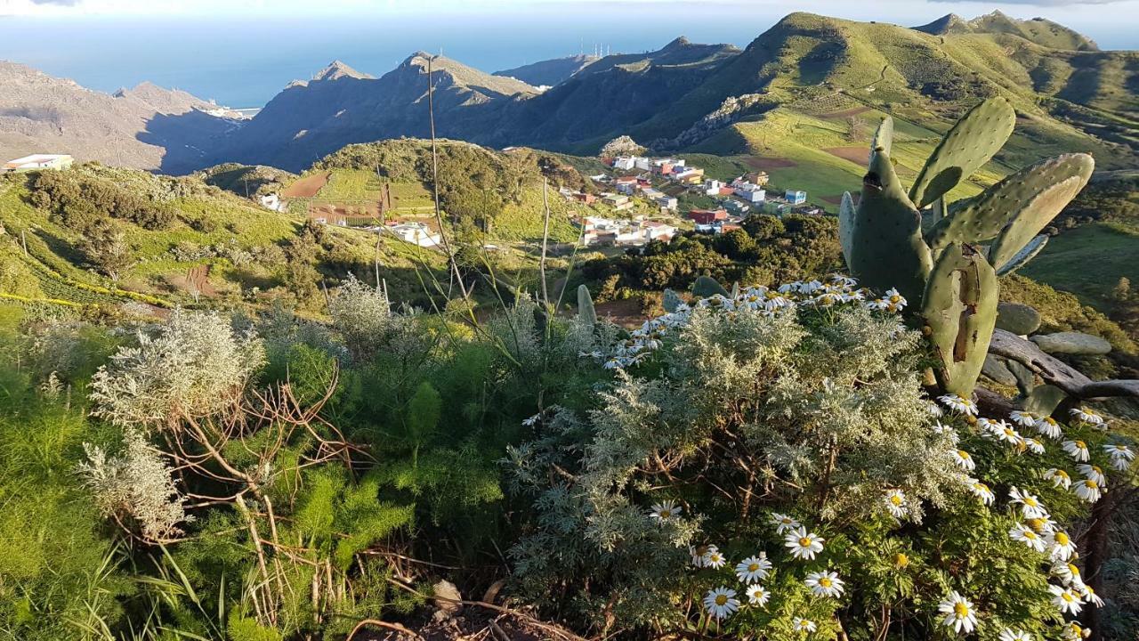 La Casita De Omar En El Corazon De Anaga Y La Laguna Las Mercedes Eksteriør billede