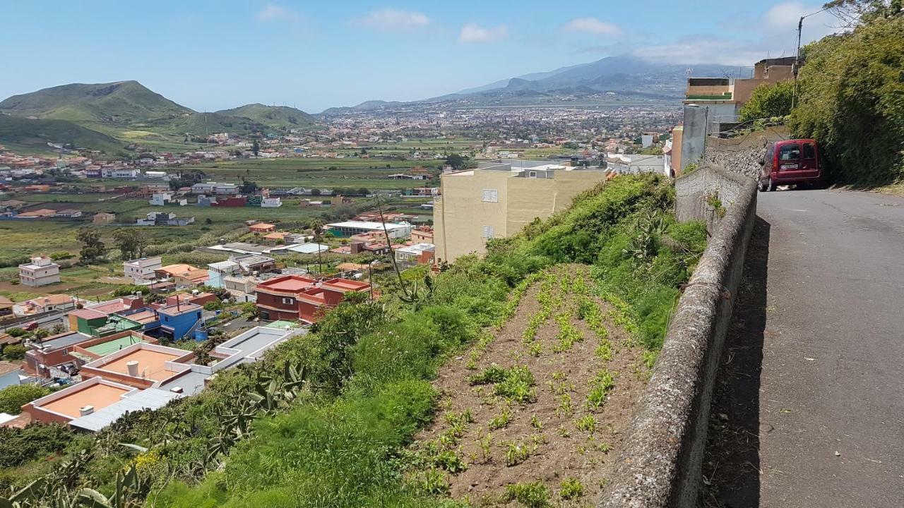 La Casita De Omar En El Corazon De Anaga Y La Laguna Las Mercedes Eksteriør billede