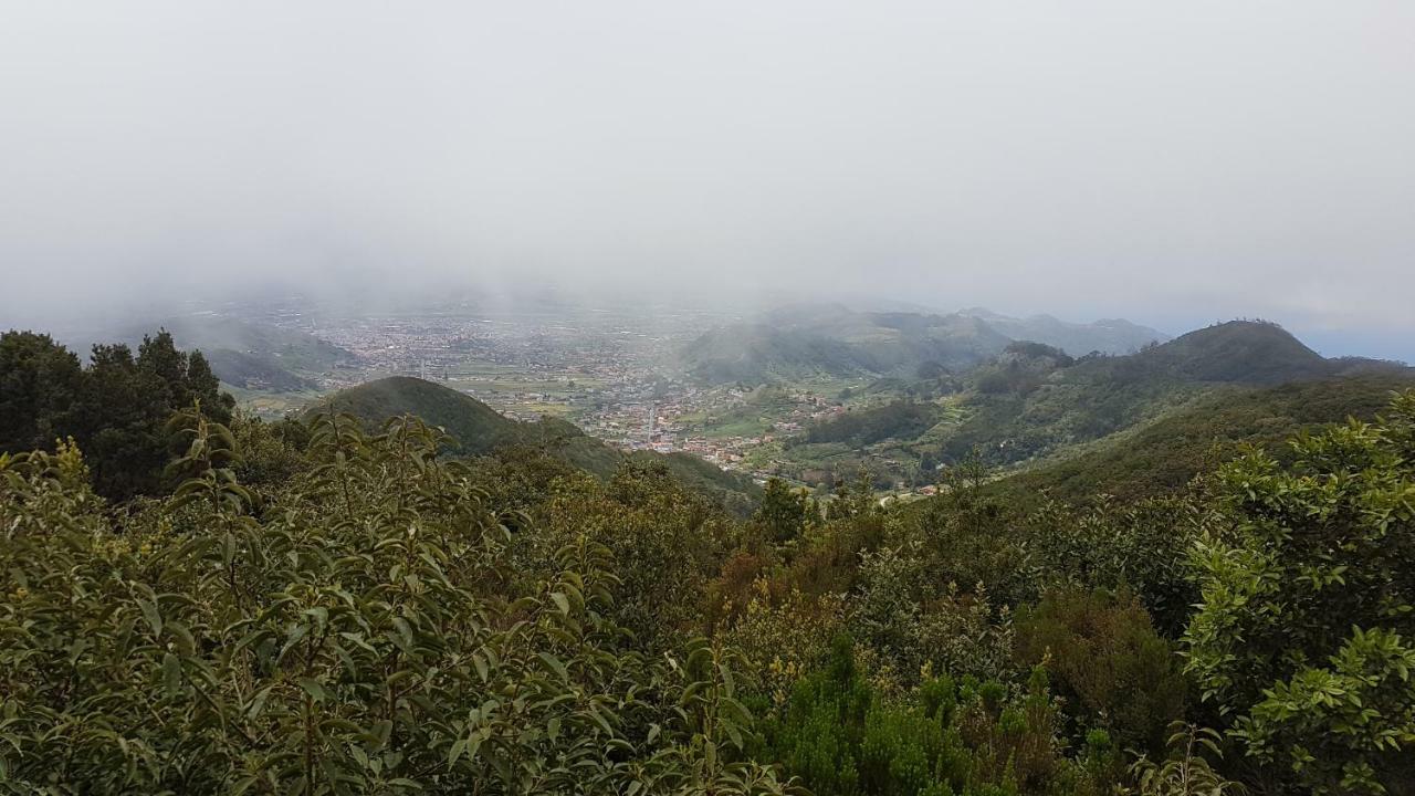 La Casita De Omar En El Corazon De Anaga Y La Laguna Las Mercedes Eksteriør billede