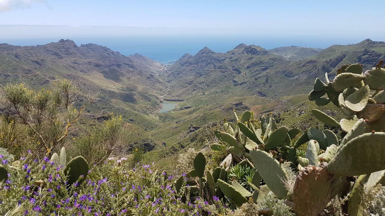 La Casita De Omar En El Corazon De Anaga Y La Laguna Las Mercedes Eksteriør billede