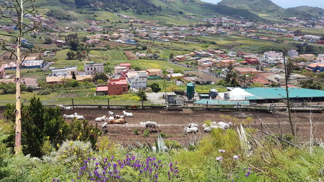 La Casita De Omar En El Corazon De Anaga Y La Laguna Las Mercedes Eksteriør billede